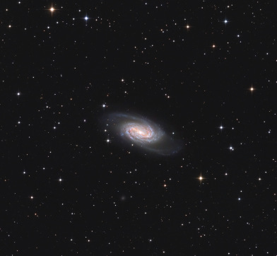 NGC 2903