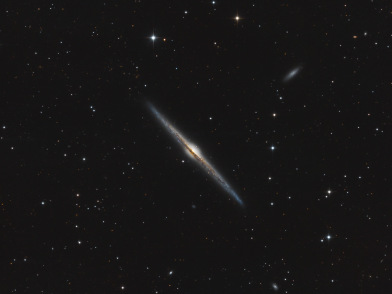 NGC4565