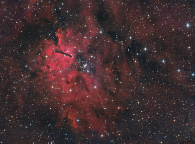 NGC 6820 oder auch Sh 2-86